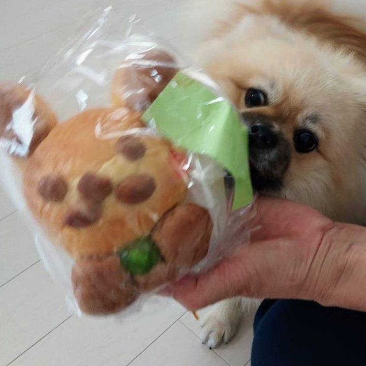 4ecaa685 302b 424e 8998 16c4bb683ae6 1660216093417