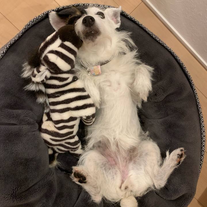 4ecab39b e440 4b18 9cda 8f0ea0e9cd5b 1660561154874