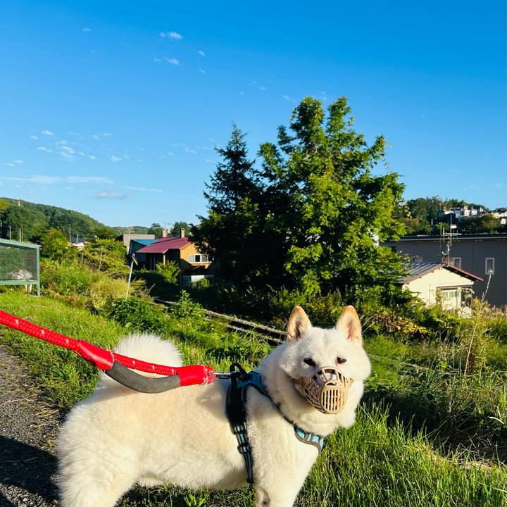 4ecac40d 43c7 4970 9050 bb9e51284196 1725265407356