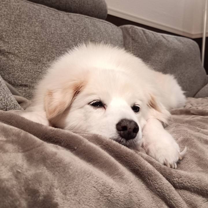 4ecaf166 8c64 4ae1 b2a3 a8627094ff42 1733440430591