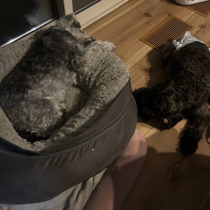 4ecb44fd 3369 4f10 8400 249a97e0782a 1723281887544