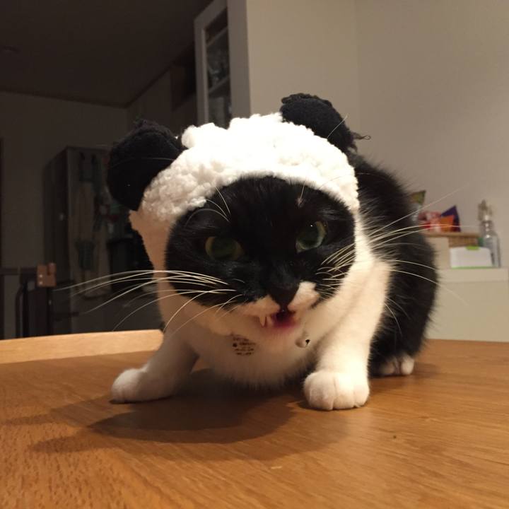 4ecb6a83 0298 4ee6 a3a4 951117aadcbb 1514983810909