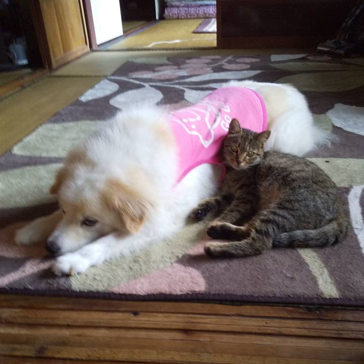 4ecb8e67 91b1 4883 9a7b b1abb5c6ccab 1568151431501