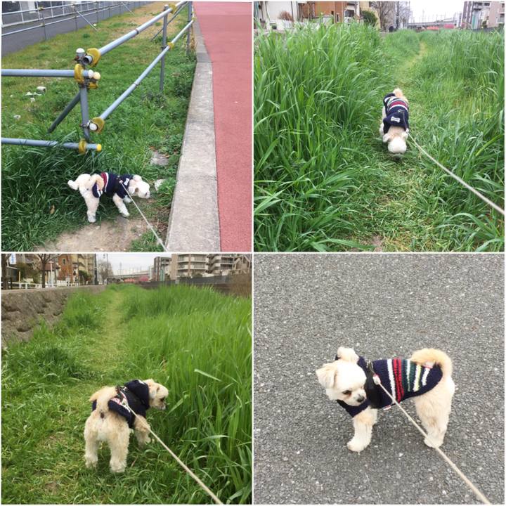 4ecb93b5 472f 4ee0 a232 c5c255ee8eae 1553331334917