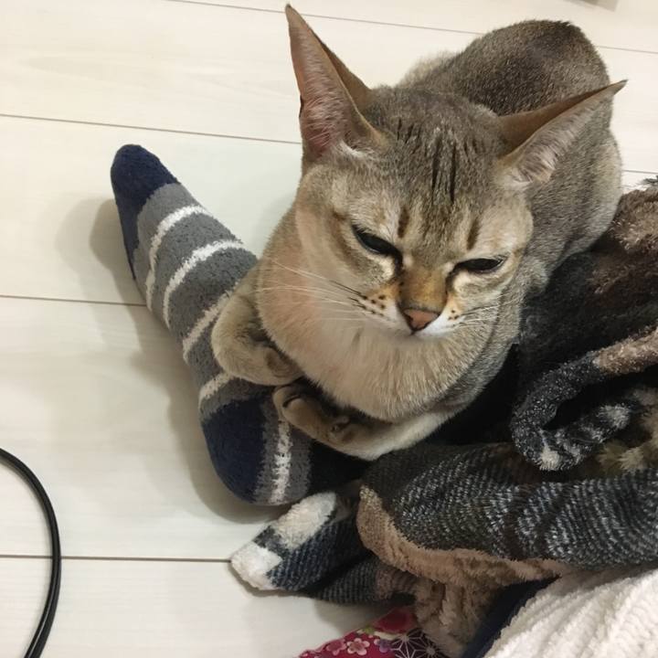 4ecb9cf9 7acc 4383 8d6a eca0ebd41612 1514892962183