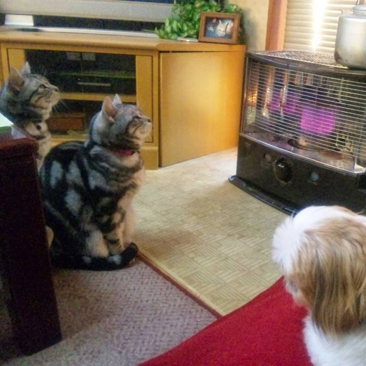 4ecbcdf7 fe63 4033 b83e 89b0134e728f 1645877774478