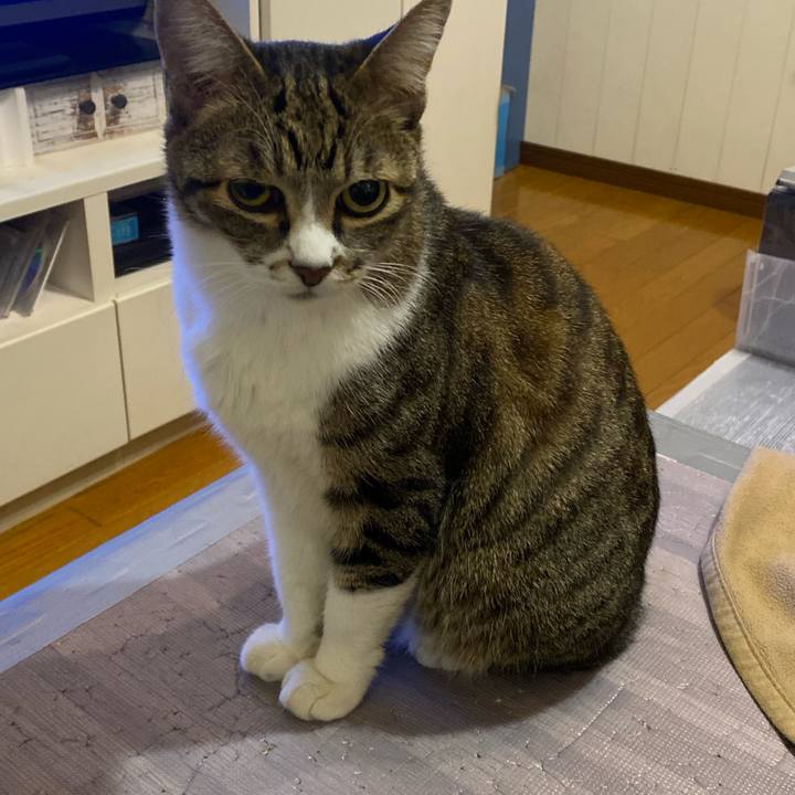 4ecc0baf eb48 414a b032 5e0b06790ea4 1667595825839