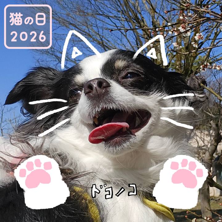 4ecc2189 16db 4518 a253 3bce812b575b 1771731473742