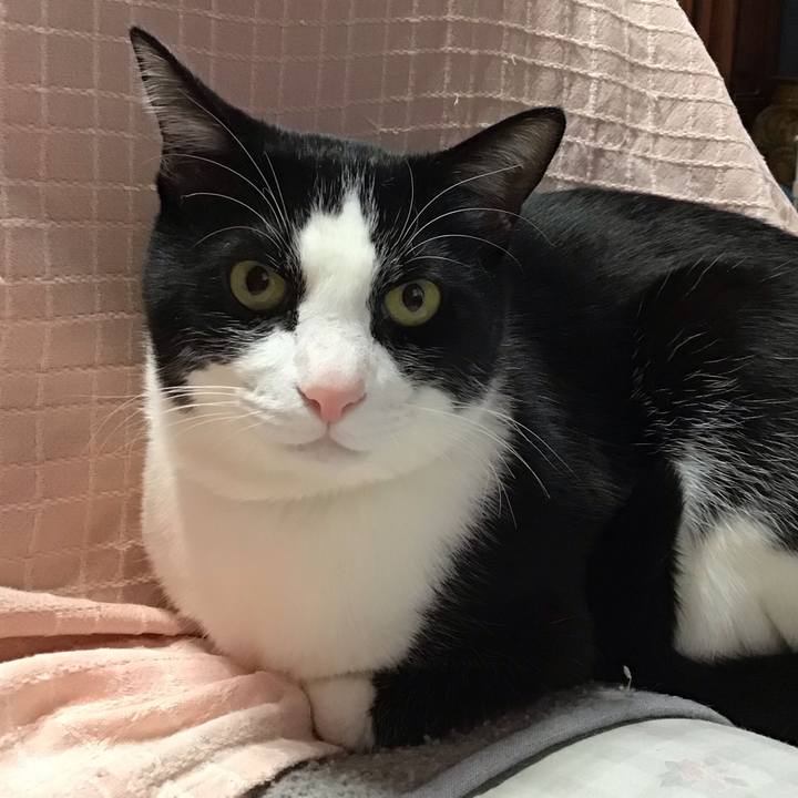 4ecc475c 6fc6 43ba aee9 eb7d95e0b749 1711167457703