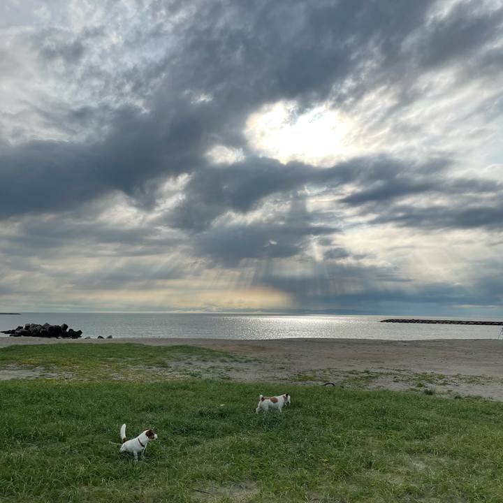 4eccb281 a61b 4e81 8593 892be342910e 1626081197380