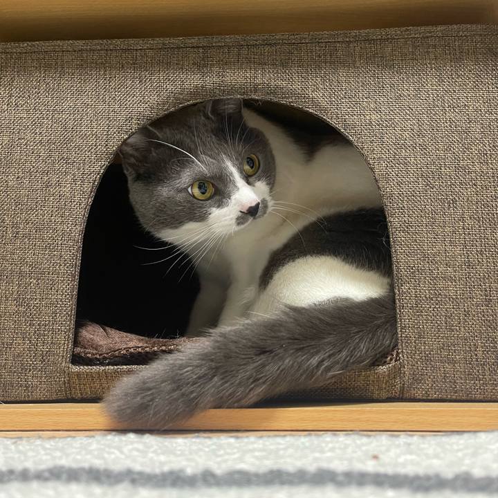 4eccbdf4 da9c 4c81 994c 59ffbf8e149c 1686311808919