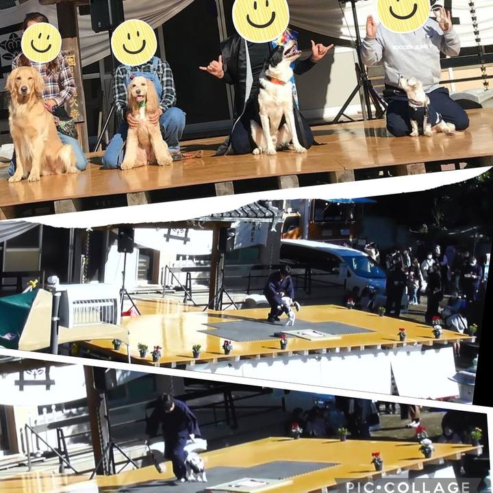 4ecce696 8570 4cc2 a2c7 b9ad5ef16204 1669674815300