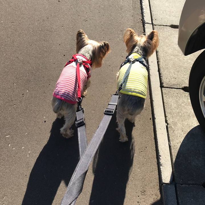 4eccef6b 2143 461a 9810 bb7fc499463d 1632130038582