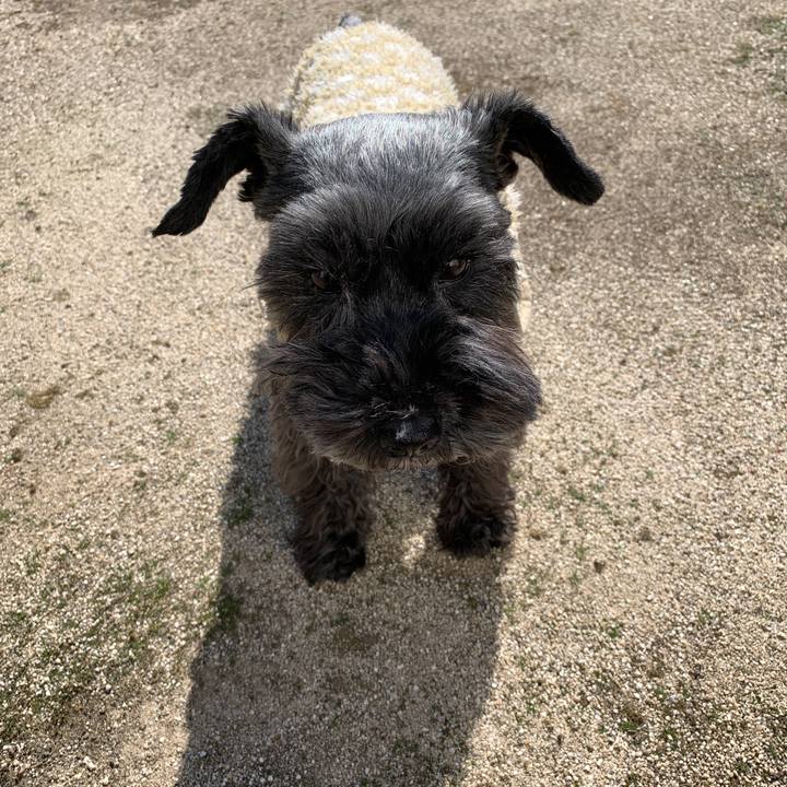 4ecd3765 4334 43a4 8a7c 95ec3ad17fe3 1613704124758