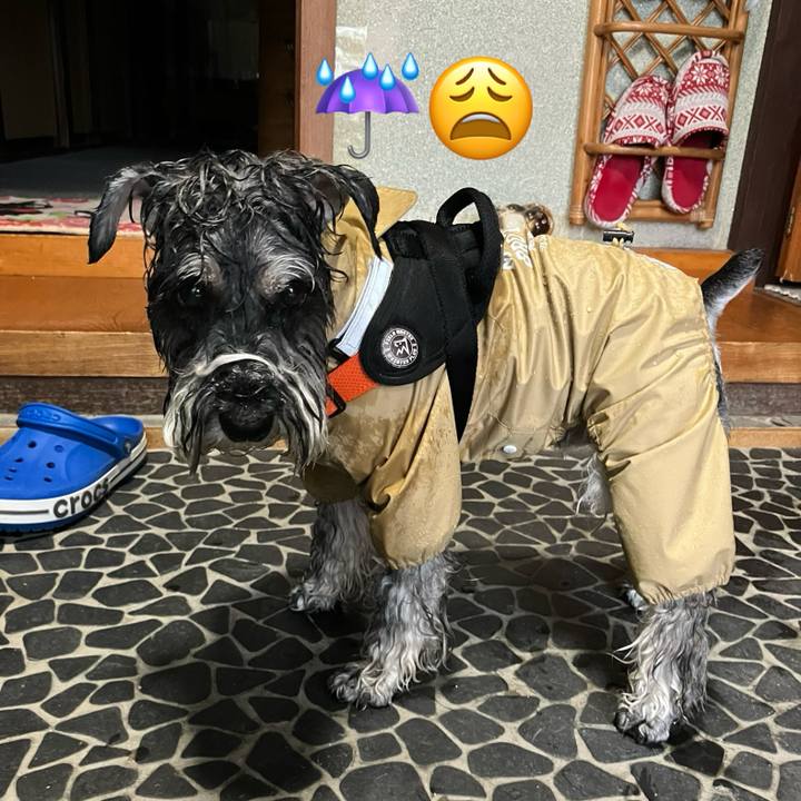 4ecd4bdc 13d3 4147 b483 99e4c56b5f88 1719837405190