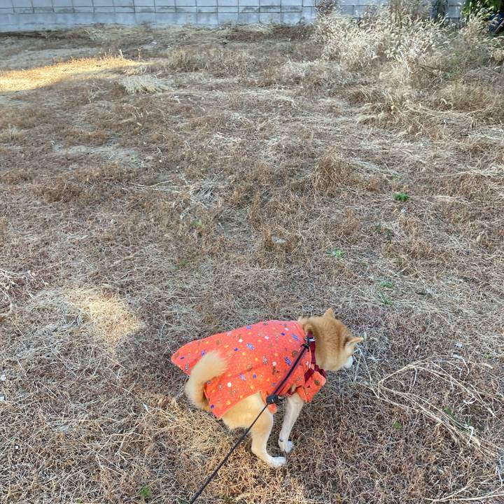 4ecd6cba 5266 4a23 89e3 d5ae40e6d74c 1639916377795