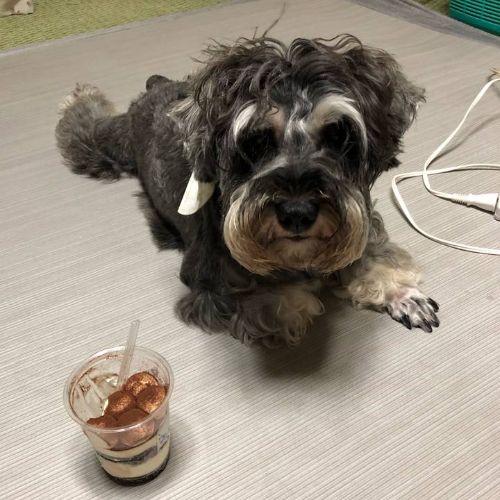 4ecd85f5 16fa 4bf4 a9a3 e0c9c2ac2ace 1565010022194