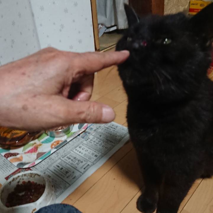 4ecdc280 0e6e 4d0f a025 429d4a5ea6ae 1653565572993