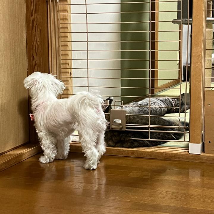 4ecdc933 635f 4c4a ad58 ef38c4902f22 1729932809868