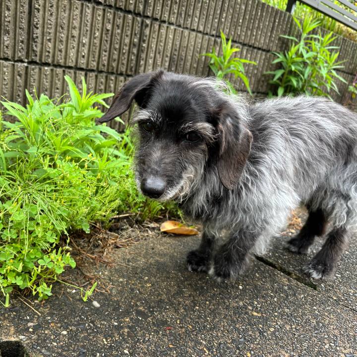 4ece1483 5b25 4278 abbd def53aa32b66 1748560246467