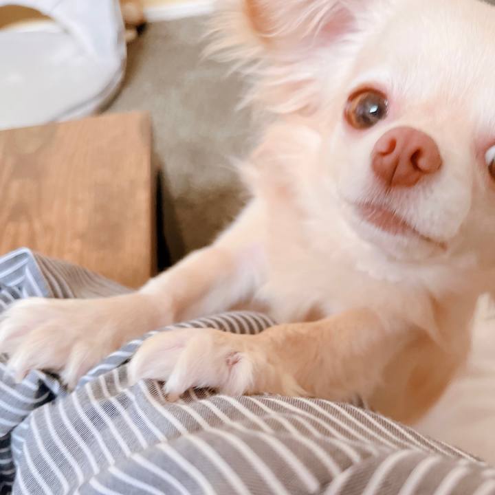 4ece1a66 9c57 4f89 9474 7384097c1523 1653644545514