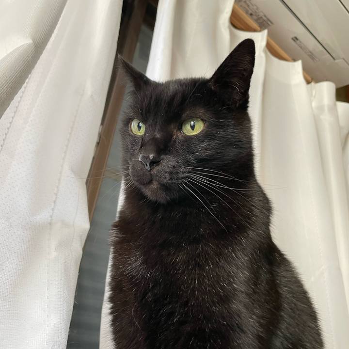 4ece6e34 ff77 43fd ba20 a78555ce19ee 1644459115032