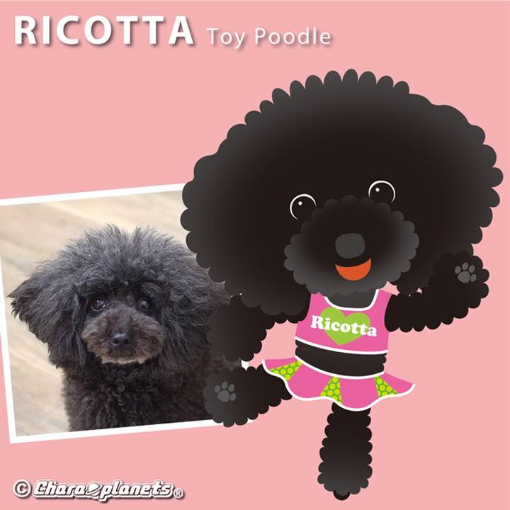 4ece7052 4f39 4a05 bf5f e7ffd20a63f1 1554943926849