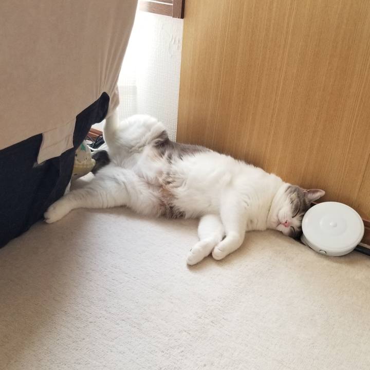 4ece80f6 6d1e 4122 a8a4 4b96426056e2 1653053273154