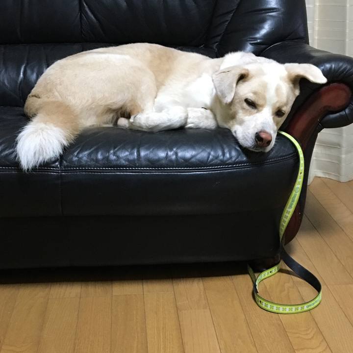 4ecec535 1874 4577 863e 00ecf92f87cb 1533222460973