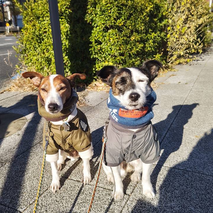 4ecec5b6 d596 42dd bb02 bda37f7bd32f 1735777103359