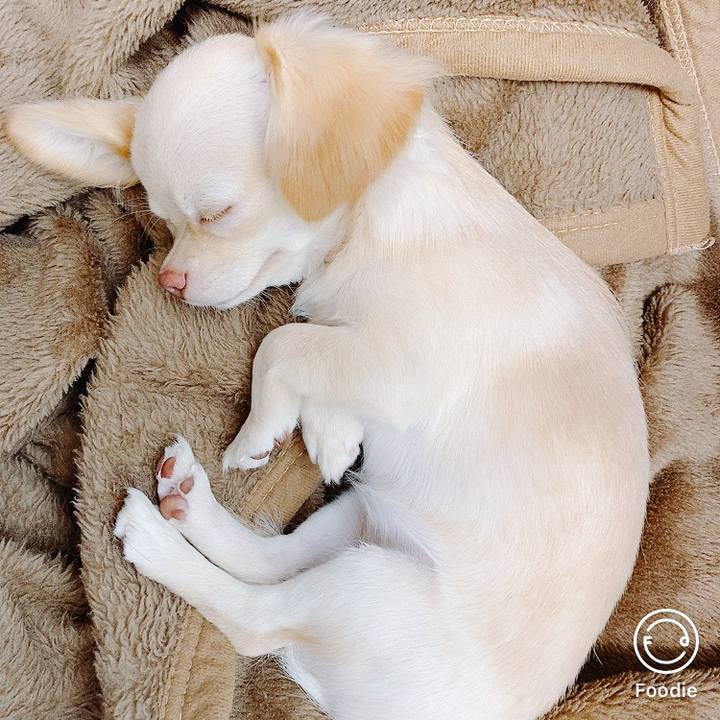 4eced666 c336 4727 998e d37c251fa670 1597724900176