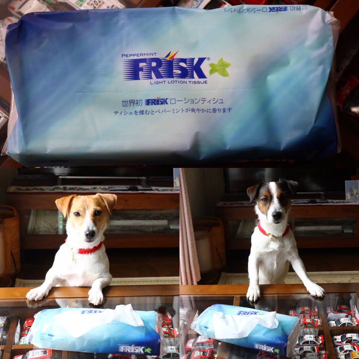 4ecedc3a 6e08 4a92 8175 6a68a8572374 1551061572150