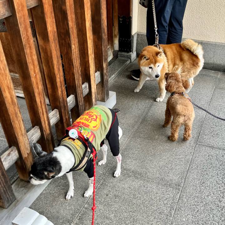 4ecf380d 6c34 4bd9 8b74 fb96163a9bbf 1651404005168