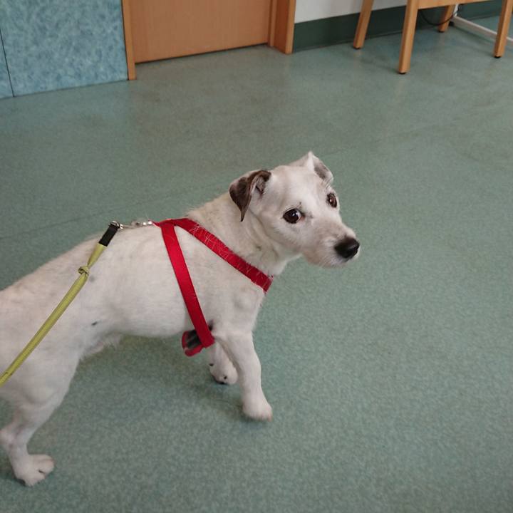 4ecf4188 bdc6 4d73 8466 cde39e580d75 1602332084353