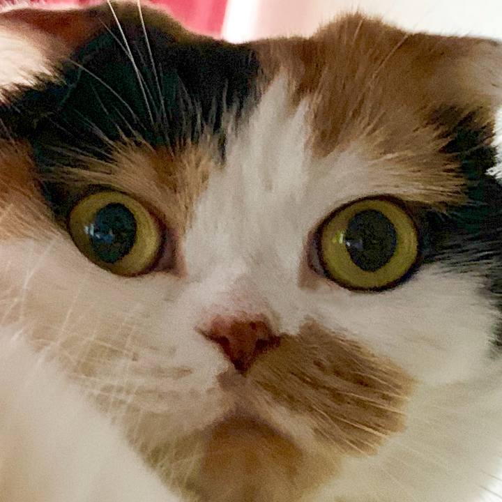 4ecf609d 17b4 4a99 ba25 c79572aea2e4 1567842587294