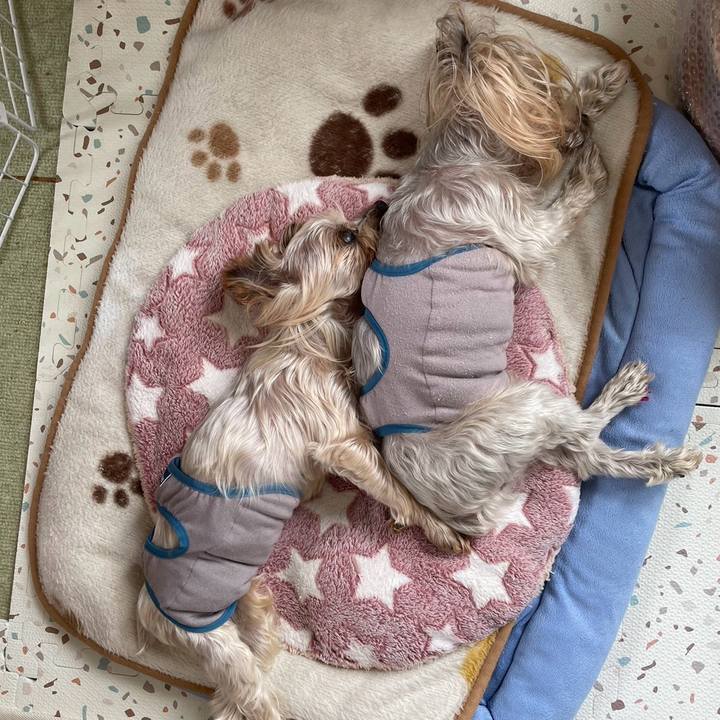 4ecfa1c6 2e1b 484f 93f4 5de054d4f918 1709200633512