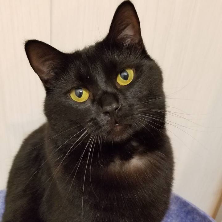 4ecfceaa 3644 4964 99e1 4fcd4063c83c 1544776524115