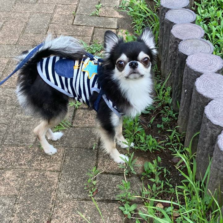 4ecfd2f5 f228 4768 a247 e77d8b837732 1685807094798