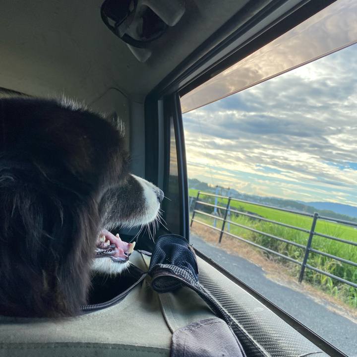 4ed04ef0 80ad 4b19 a2bd 73df97c9cfbe 1691014096579