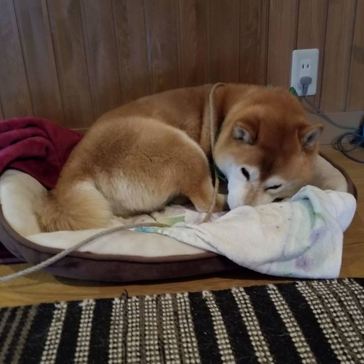 4ed04f0d 8c77 4a18 ab00 2a42aa680094 1556234025207