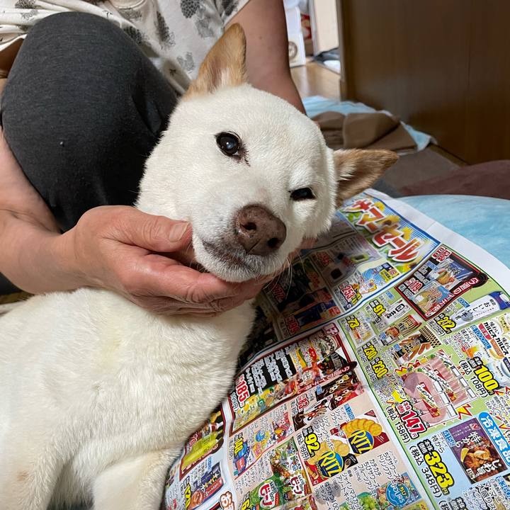 4ed0569f 043c 4842 ad6a de597ee7c7d2 1657716328888