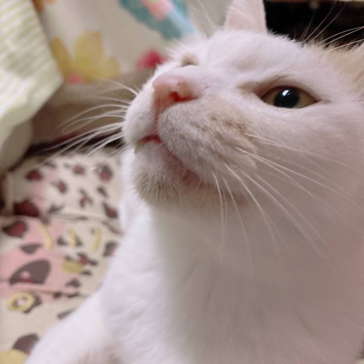 4ed07091 70ac 4fc6 99cc 1915aeec408e 1662778706489