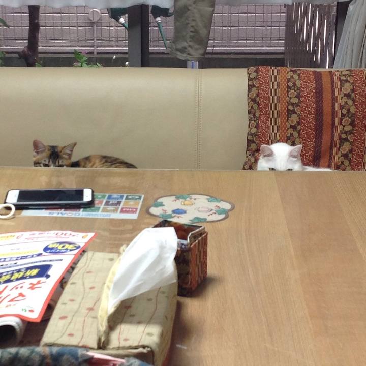 4ed07a32 edaf 437b aca2 34bb6e793431 1633067807829