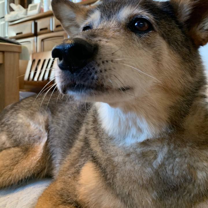 4ed0c12d 5010 4638 a89a aa1041b457d3 1565415094596