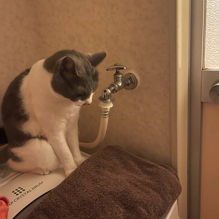 4ed0e796 afce 40f7 a0ab 982bd1326366 1750172932085