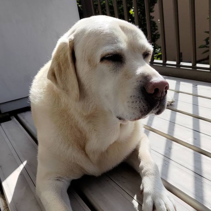 4ed10710 b4f0 4cb8 aee2 0db7a89d3b1a 1725233606672