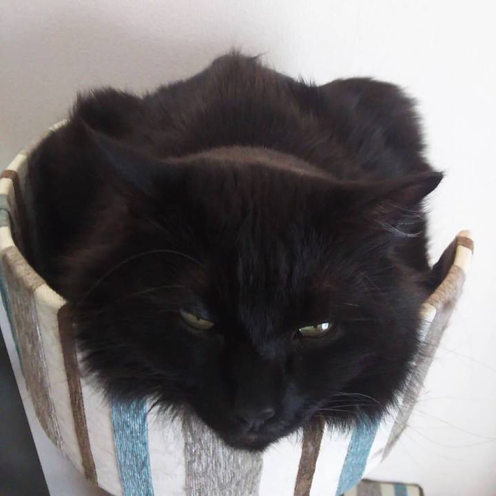 4ed110f2 a3ec 402c a7c5 35efef0a1786 1529778380200