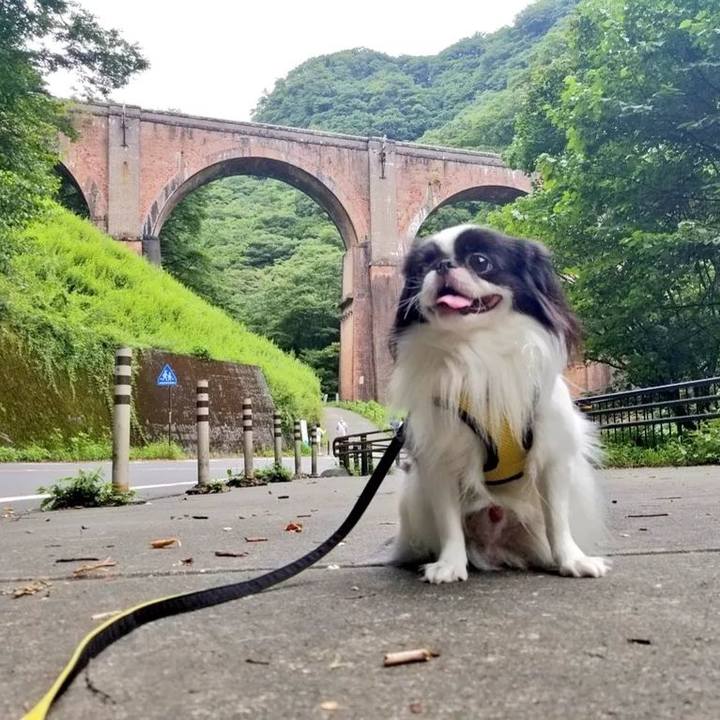 4ed13067 28d5 4702 b0fe f4290669df80 1661345350541