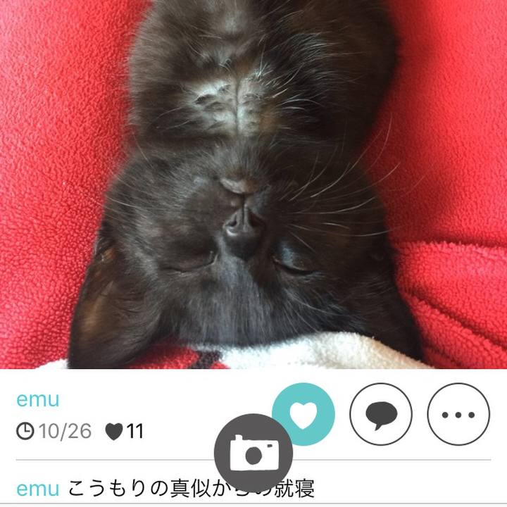 4ed14506 228f 4eaa b5e5 252f6e0da0fd 1510507039702