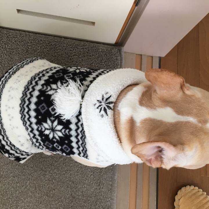 4ed161fa d97c 45e6 87a2 34e3e91aca1c 1515556973855